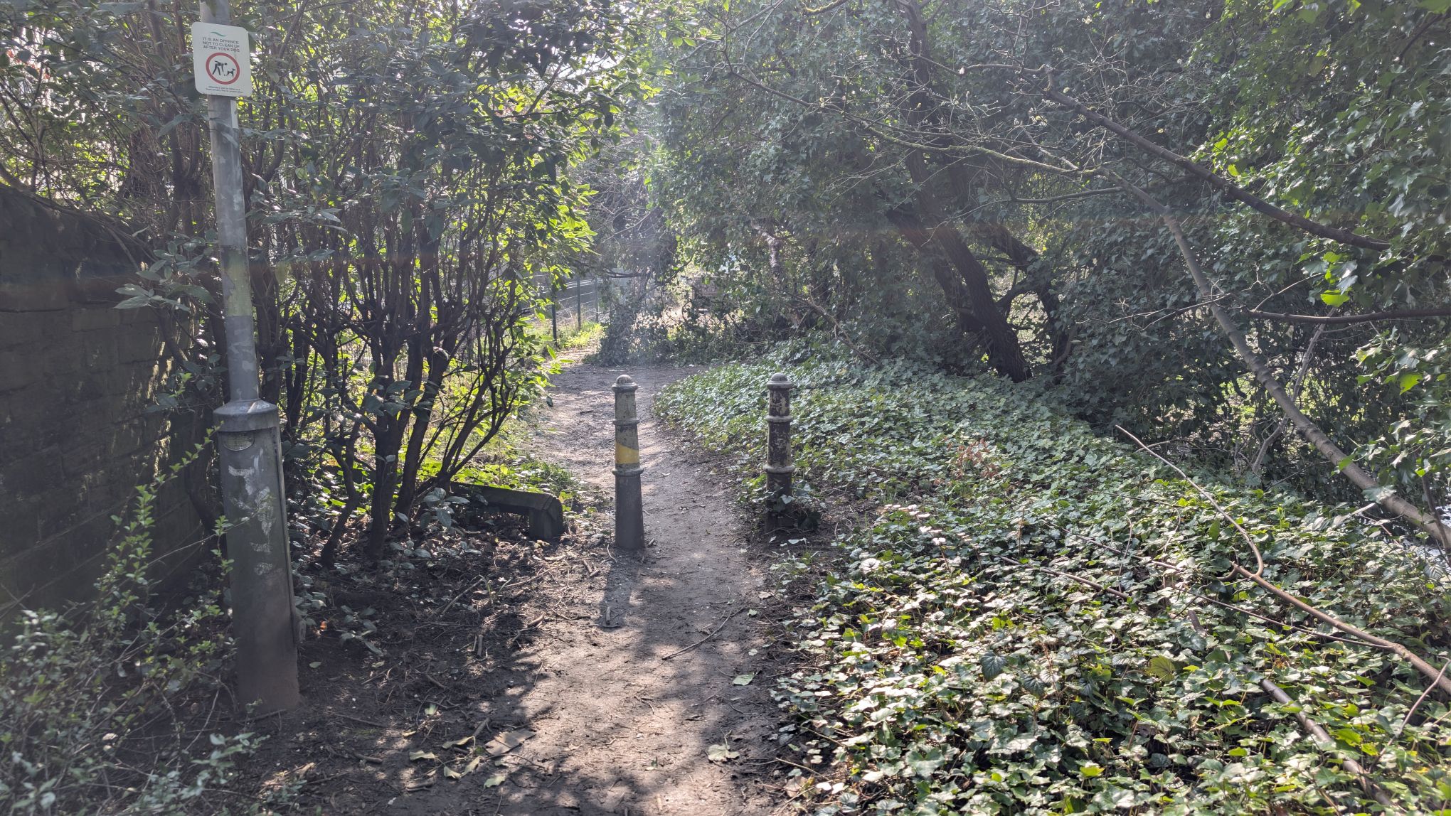 Riverside Path
