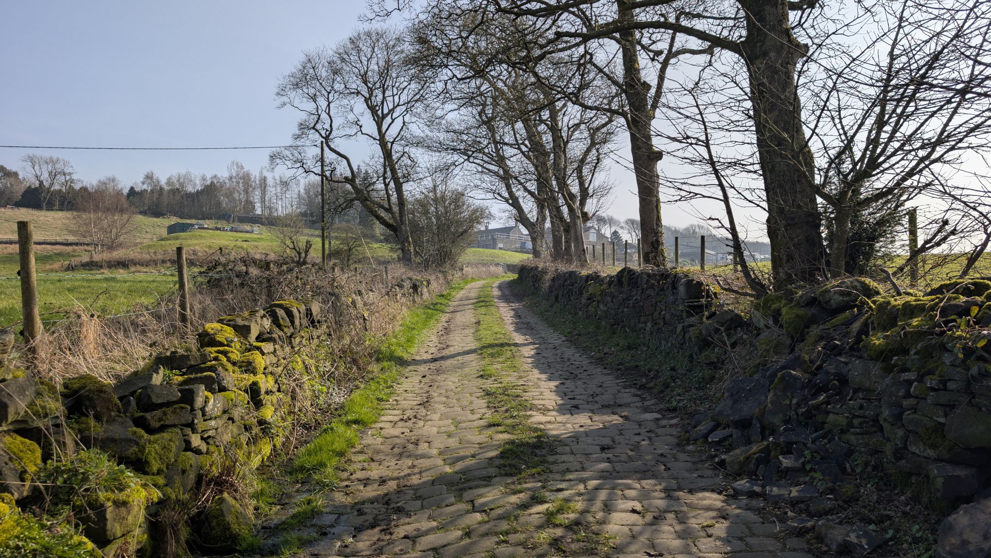 Longley Lane