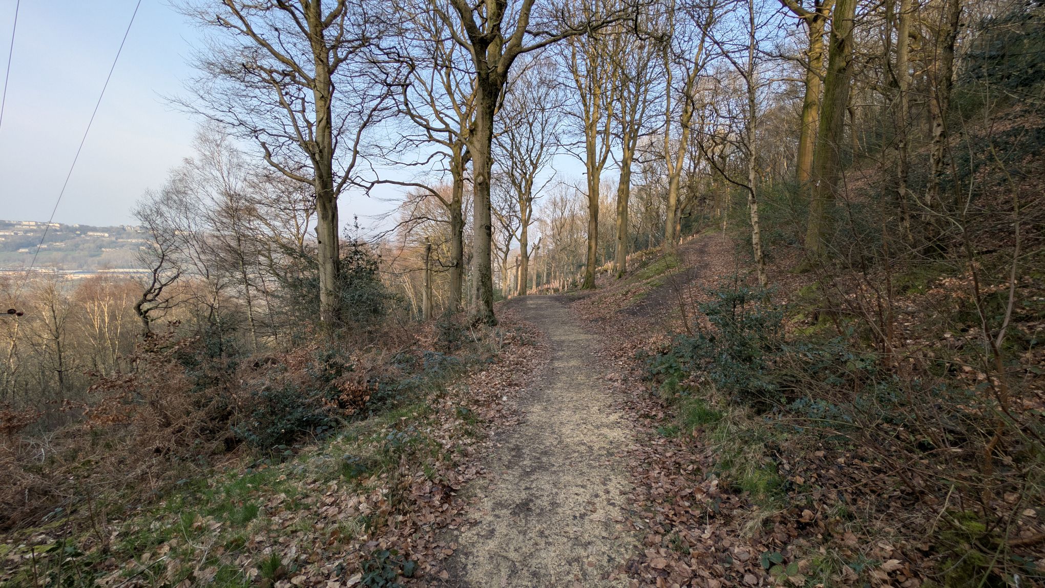North Dean Woods