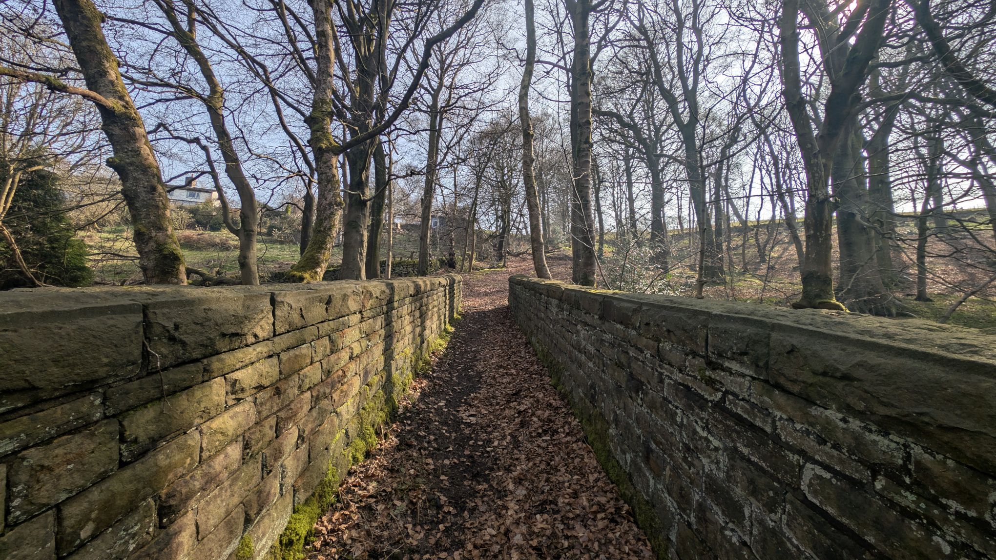 Crossing the footbridge